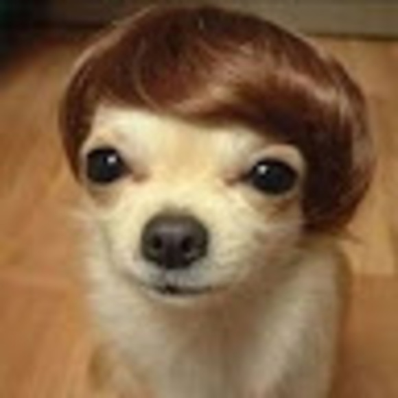 kianwoofers
